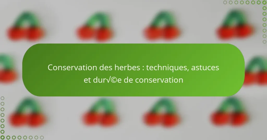 Conservation des herbes : techniques, astuces et durée de conservation