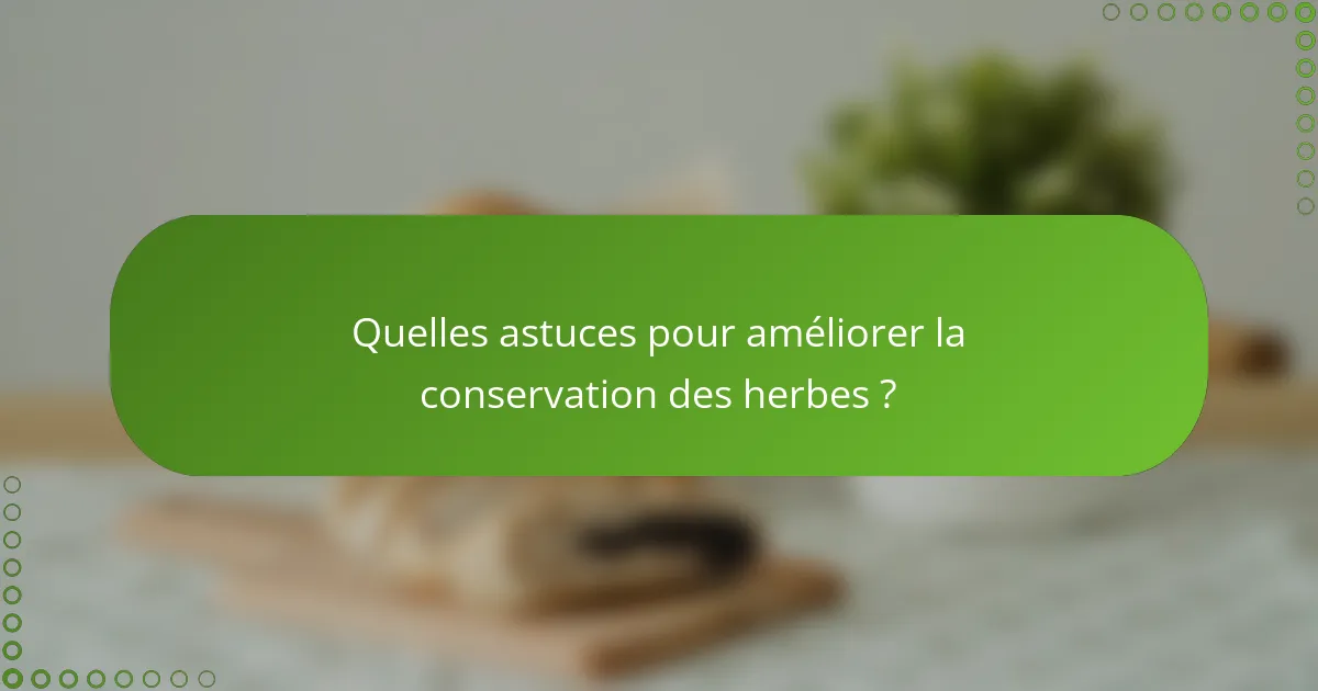 Quelles astuces pour améliorer la conservation des herbes ?