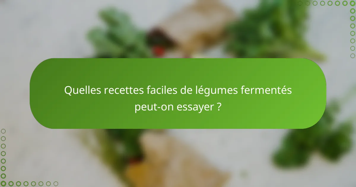 Quelles recettes faciles de légumes fermentés peut-on essayer ?
