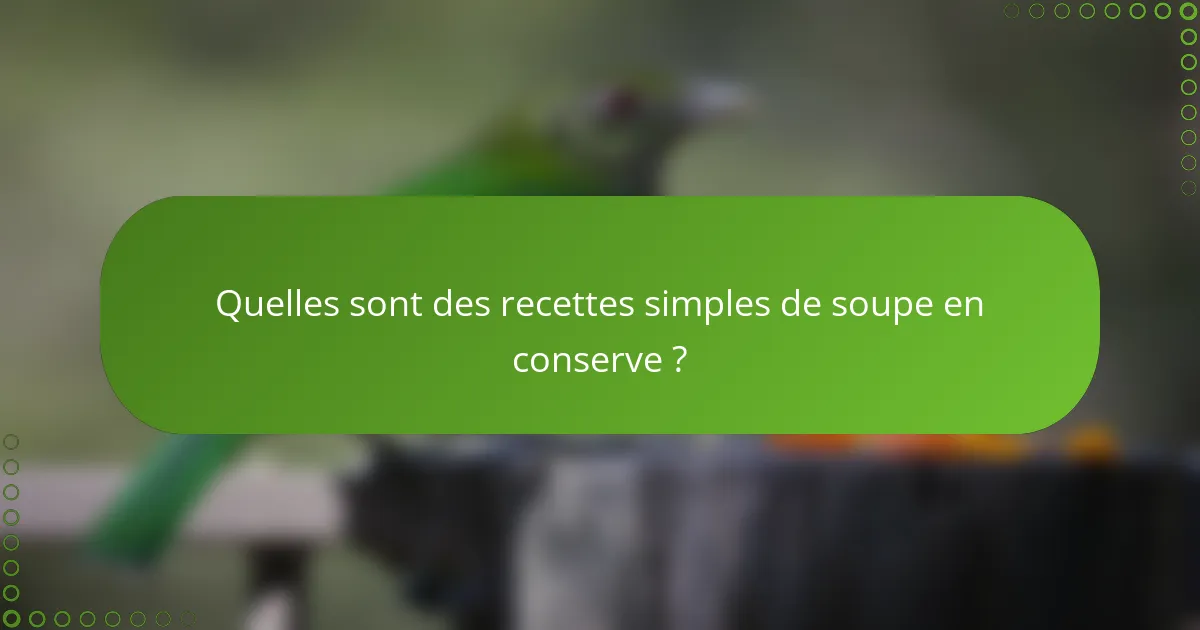 Quelles sont des recettes simples de soupe en conserve ?