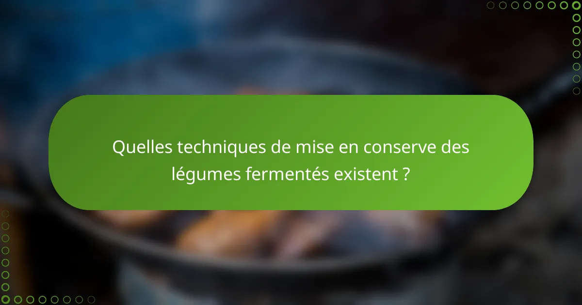 Quelles techniques de mise en conserve des légumes fermentés existent ?