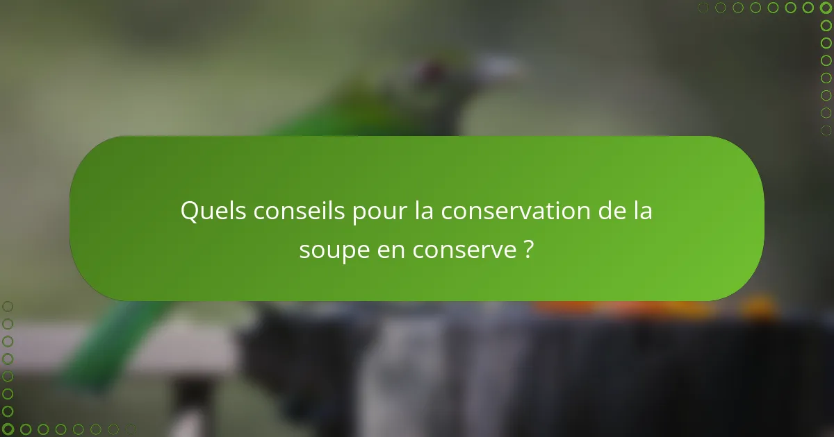Quels conseils pour la conservation de la soupe en conserve ?