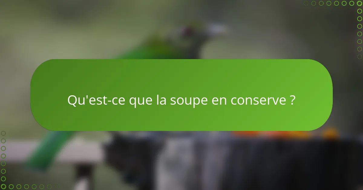 Qu'est-ce que la soupe en conserve ?